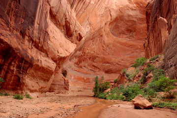 Coyote gulch utah