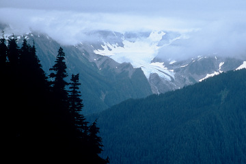 Highline trail in Olympic national
park