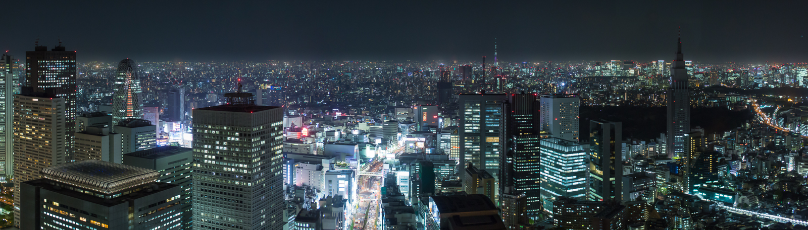 Panorama from Park Hyatt Tokyo