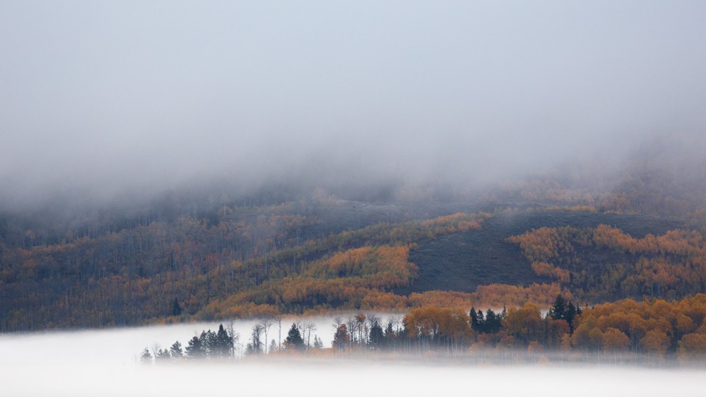 Fog, Grand Teton National Park