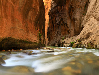 zion narrows canyon, utah