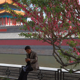 Forbidden City, Beijing