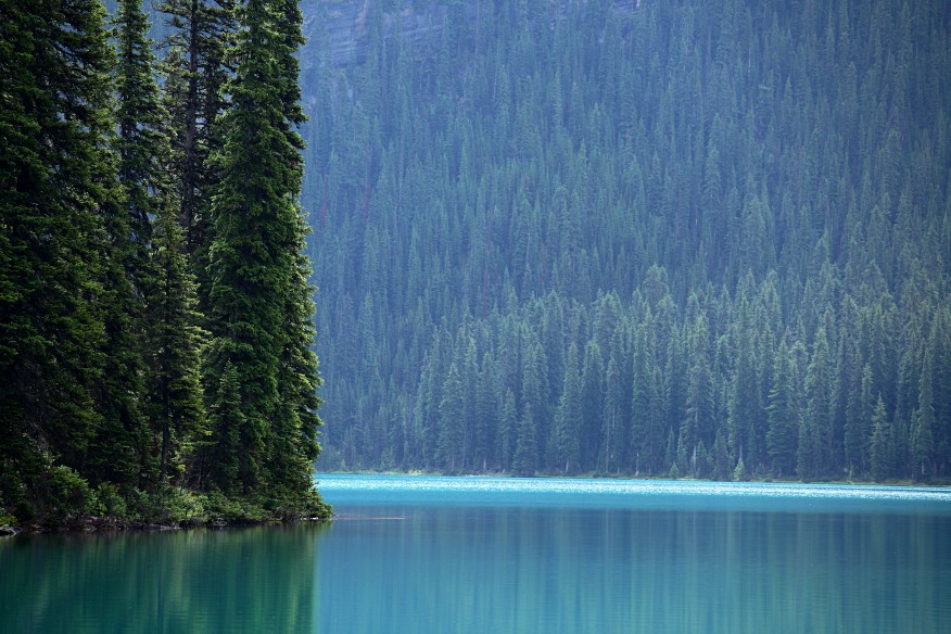 Lake O'Hara Canada