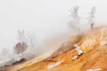 Mammoth Hot Spring in snow