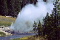 Riverside geyser, Yellowstone