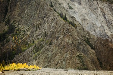 Canada Creek, Kluane National Park